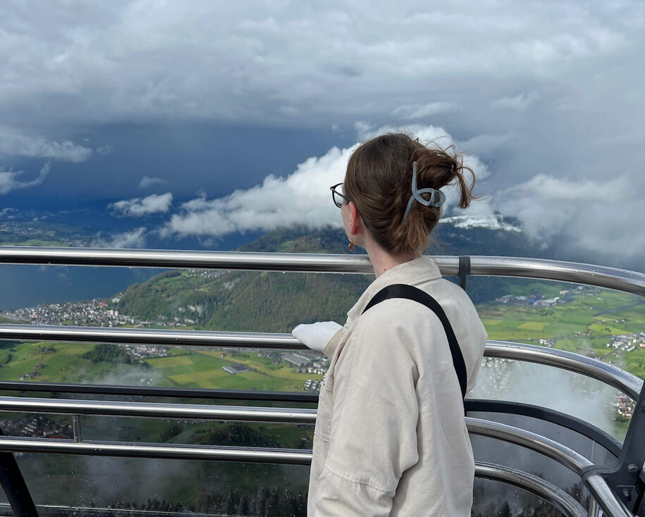 Exploring Swiss villages during the Galaxy Zoo JWST meeting in Bern - Spring 2024